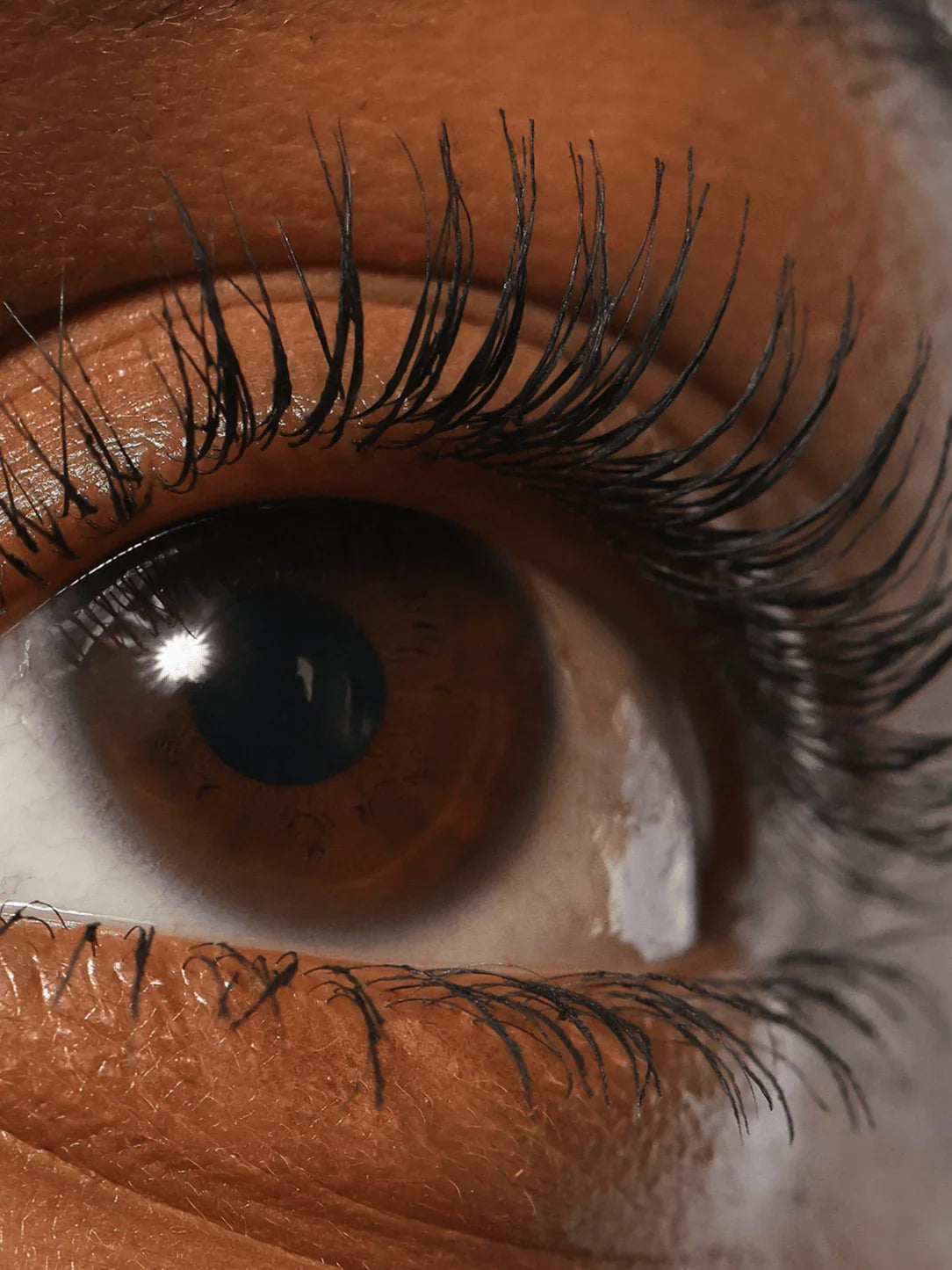 Refy Lash Sculpt - Kirpik Şekillendirici