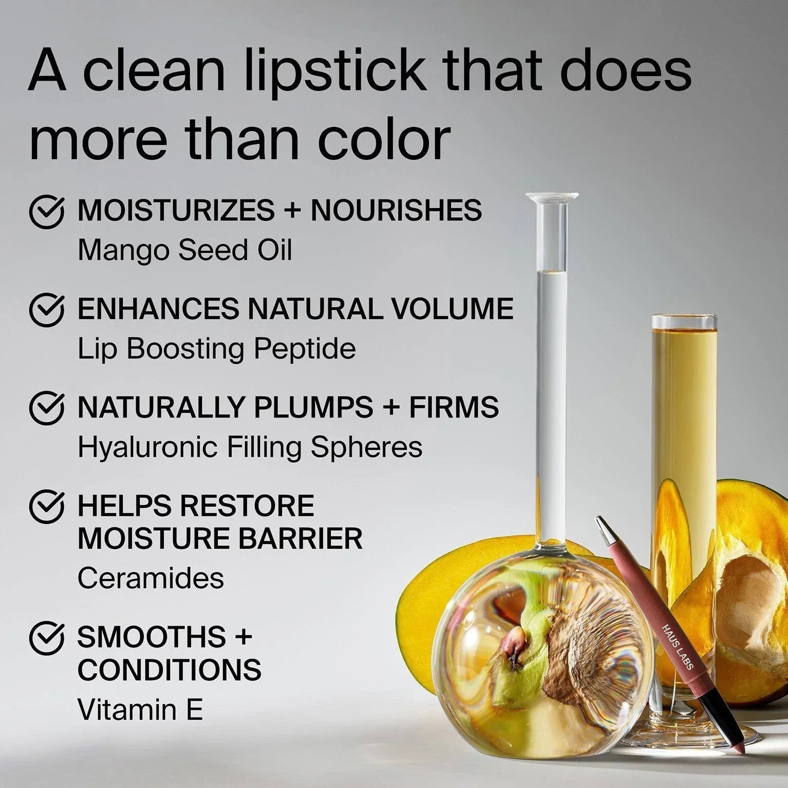 Haus Labs Le Monster Lip Crayon - Dudak Kalemi