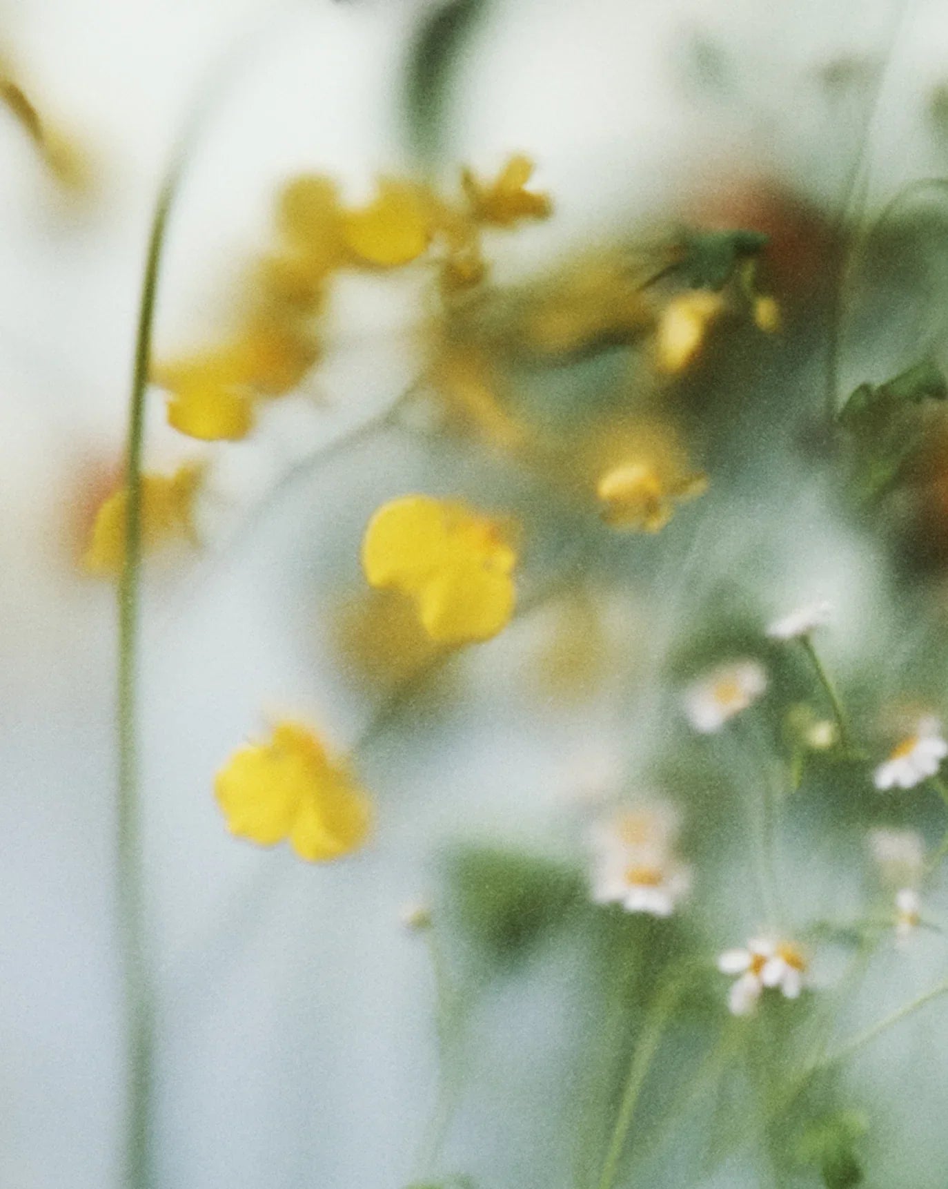 Glossier You Fleur - Parfüm