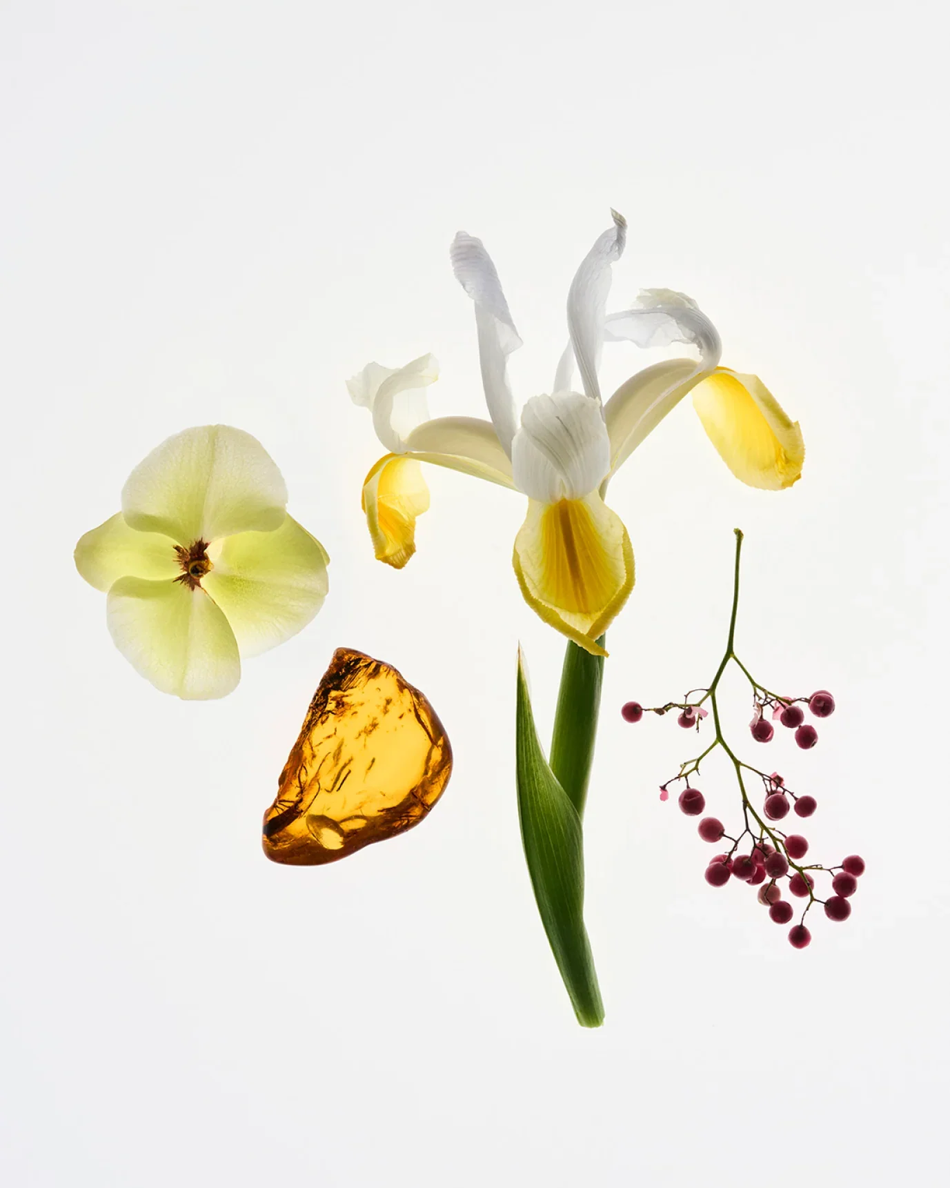 Glossier You - Parfüm